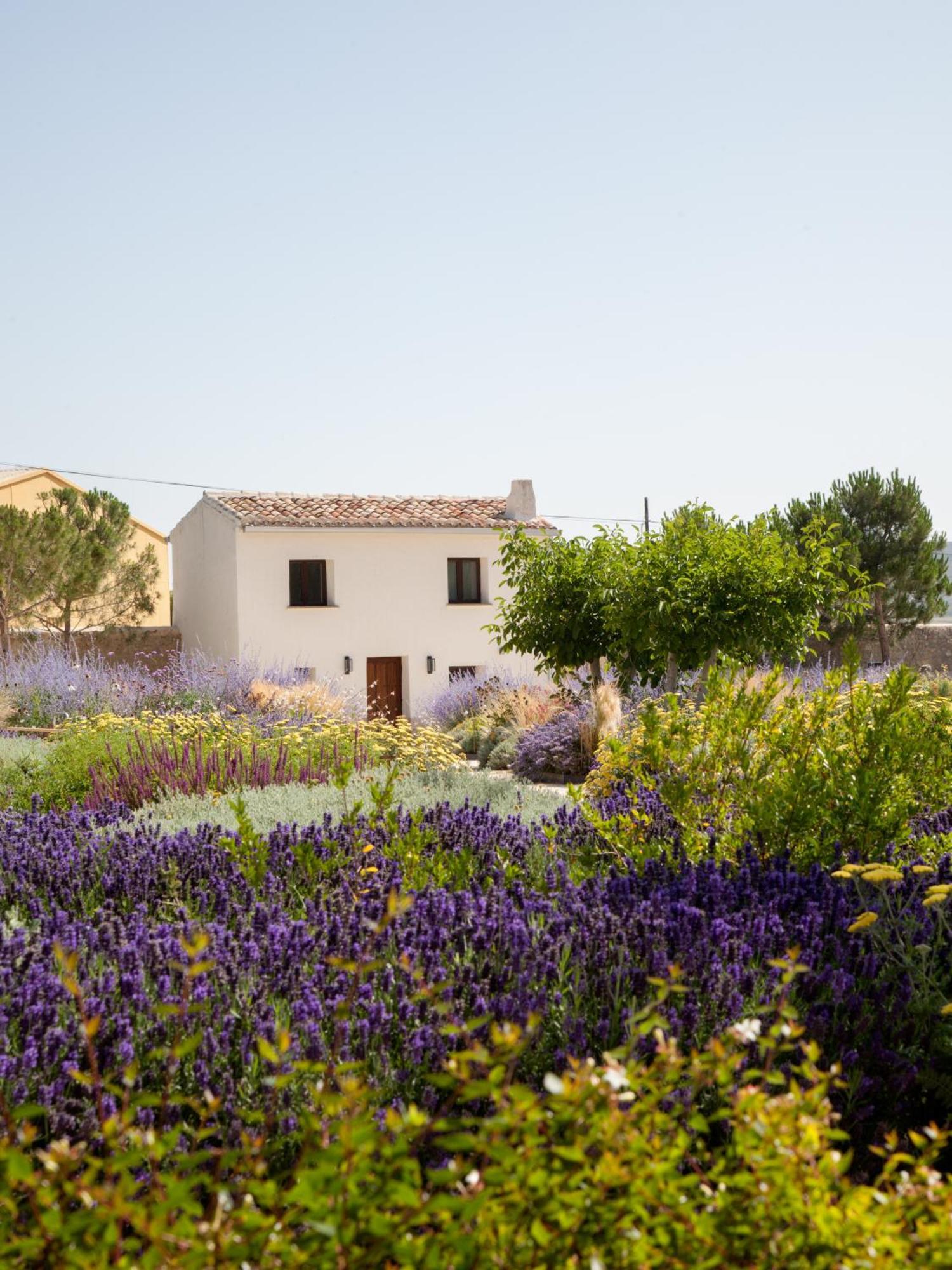 Hotel Quinta San Francisco Castrojeriz Zewnętrze zdjęcie